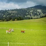 Dachstein West 3 By Interhome 아파트