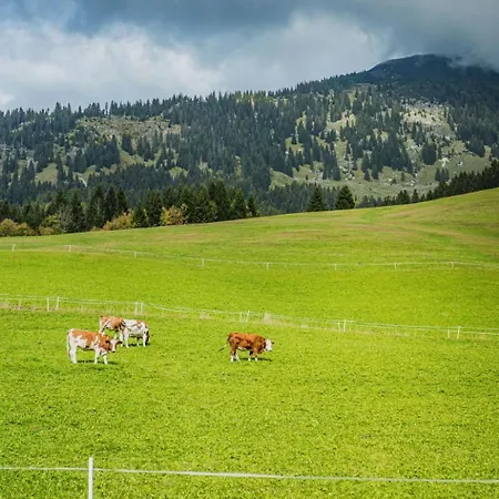 Dachstein West 3 By Interhome Appartement