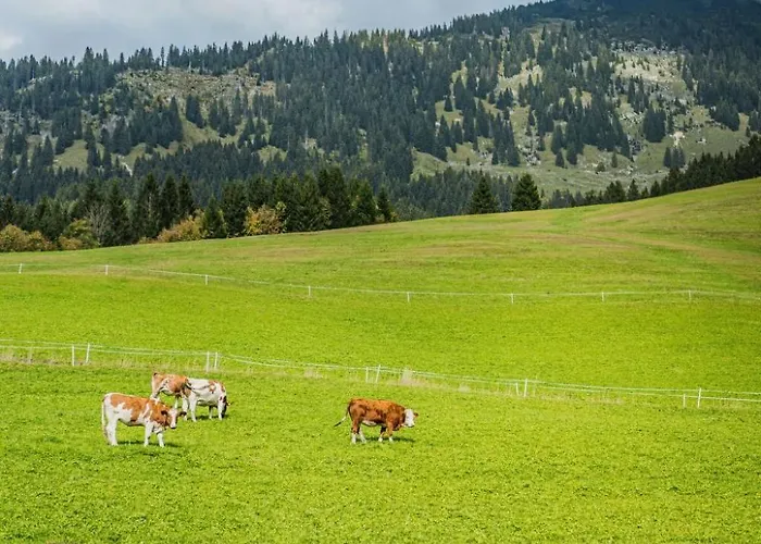 Dachstein West 3 By Interhome アパート