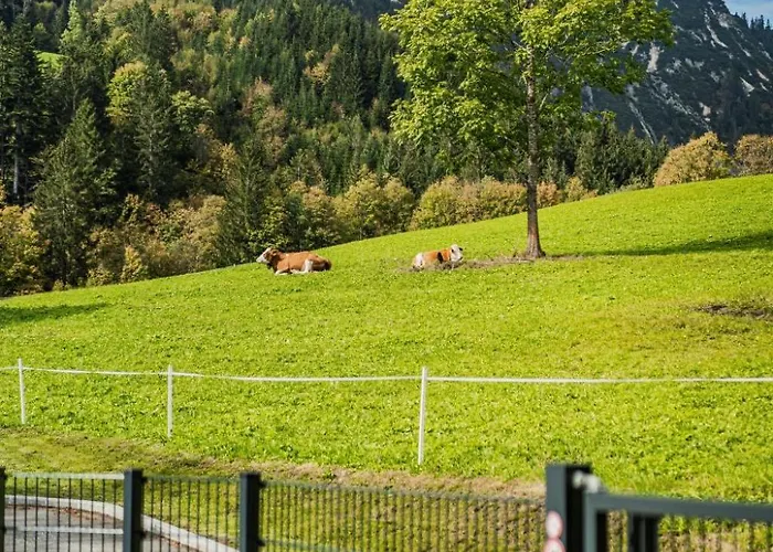 Dachstein West 3 By Interhome * Russbach (Upper Austria)